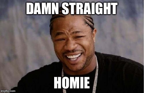 Yo Dawg Heard You Meme | DAMN STRAIGHT HOMIE | image tagged in memes,yo dawg heard you | made w/ Imgflip meme maker