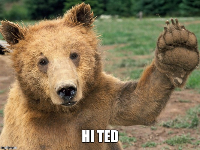 HI TED | made w/ Imgflip meme maker
