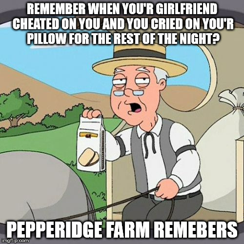 Pepperidge Farm Remembers Meme | REMEMBER WHEN YOU'R GIRLFRIEND CHEATED ON YOU AND YOU CRIED ON YOU'R PILLOW FOR THE REST OF THE NIGHT? PEPPERIDGE FARM REMEBERS | image tagged in memes,pepperidge farm remembers | made w/ Imgflip meme maker