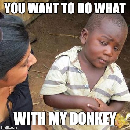 Third World Skeptical Kid Meme | YOU WANT TO DO WHAT WITH MY DONKEY | image tagged in memes,third world skeptical kid | made w/ Imgflip meme maker