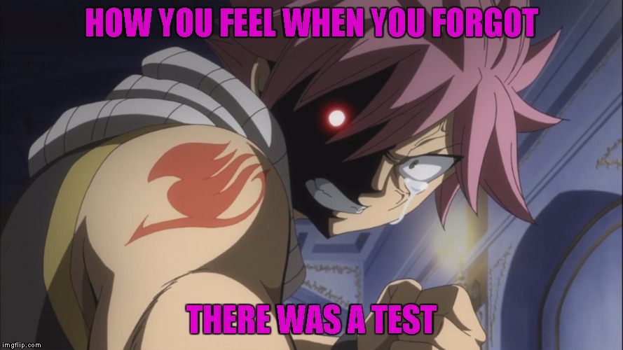 why teach why!! | HOW YOU FEEL WHEN YOU FORGOT THERE WAS A TEST | image tagged in natsu,fairy tail | made w/ Imgflip meme maker