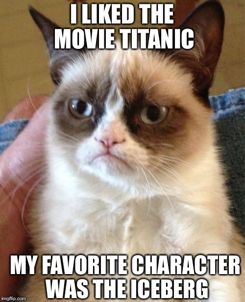 Grumpy Cat Meme | I LIKED THE MOVIE TITANIC MY FAVORITE CHARACTER WAS THE ICEBERG | image tagged in memes,grumpy cat | made w/ Imgflip meme maker
