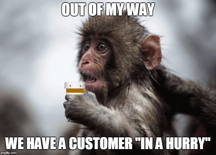 pill fetching monkey | OUT OF MY WAY WE HAVE A CUSTOMER "IN A HURRY" | image tagged in pill fetching monkey,pharmacy pug,pharmacy technician,customers | made w/ Imgflip meme maker