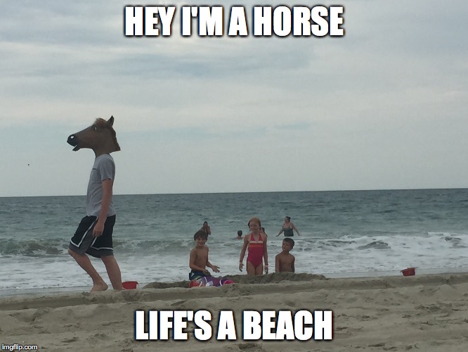 sitting on the beach when this happened. | HEY I'M A HORSE LIFE'S A BEACH | image tagged in funny,kids | made w/ Imgflip meme maker