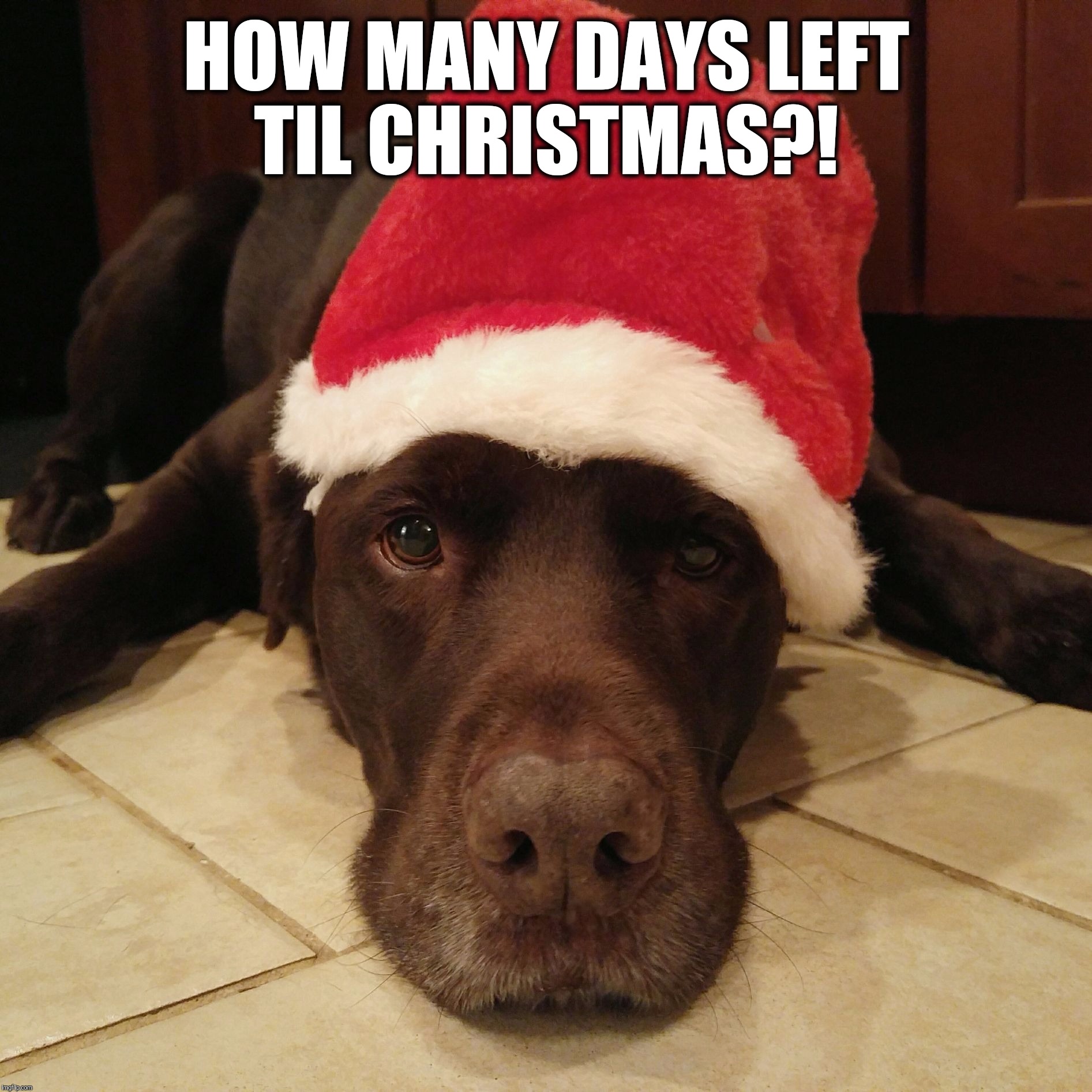 How Many Days Til Christmas Imgflip