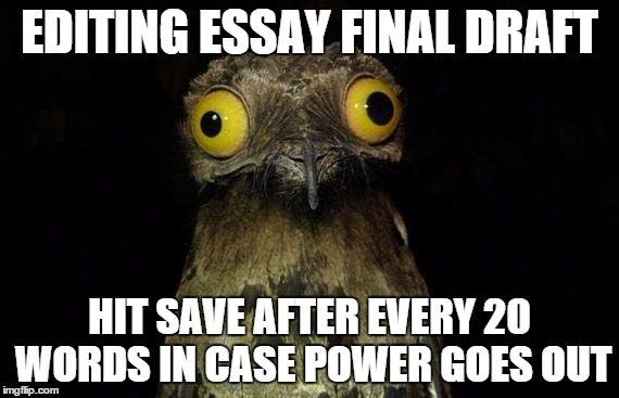 Weird Stuff I Do Potoo Meme | EDITING ESSAY FINAL DRAFT HIT SAVE AFTER EVERY 20 WORDS IN CASE POWER GOES OUT | image tagged in memes,weird stuff i do potoo,AdviceAnimals | made w/ Imgflip meme maker