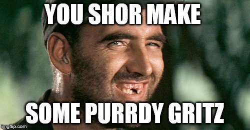 YOU SHOR MAKE SOME PURRDY GRITZ | made w/ Imgflip meme maker