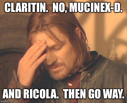 Frustrated Boromir Meme | CLARITIN.  NO, MUCINEX-D. AND RICOLA.  THEN GO WAY. | image tagged in memes,frustrated boromir | made w/ Imgflip meme maker