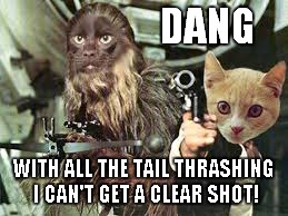DANG WITH ALL THE TAIL THRASHING I CAN'T GET A CLEAR SHOT! | made w/ Imgflip meme maker