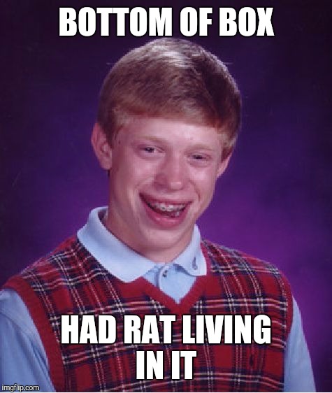 Bad Luck Brian Meme | BOTTOM OF BOX HAD RAT LIVING IN IT | image tagged in memes,bad luck brian | made w/ Imgflip meme maker