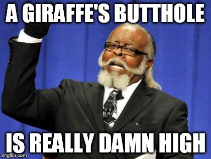 Higher Than A Giraffe's... | A GIRAFFE'S BUTTHOLE IS REALLY DAMN HIGH | image tagged in memes,too damn high | made w/ Imgflip meme maker