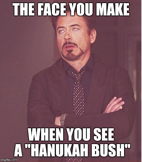 Face You Make Robert Downey Jr Meme | THE FACE YOU MAKE WHEN YOU SEE A "HANUKAH BUSH" | image tagged in memes,face you make robert downey jr | made w/ Imgflip meme maker