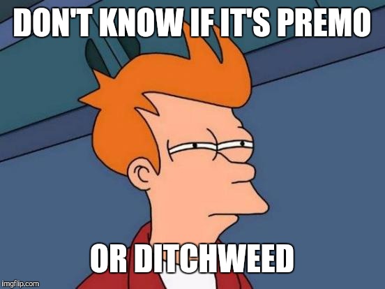 Futurama Fry Meme | DON'T KNOW IF IT'S PREMO OR DITCHWEED | image tagged in memes,futurama fry | made w/ Imgflip meme maker