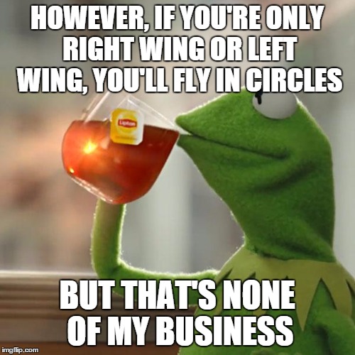 But That's None Of My Business Meme | HOWEVER, IF YOU'RE ONLY RIGHT WING OR LEFT WING, YOU'LL FLY IN CIRCLES BUT THAT'S NONE OF MY BUSINESS | image tagged in memes,but thats none of my business,kermit the frog | made w/ Imgflip meme maker