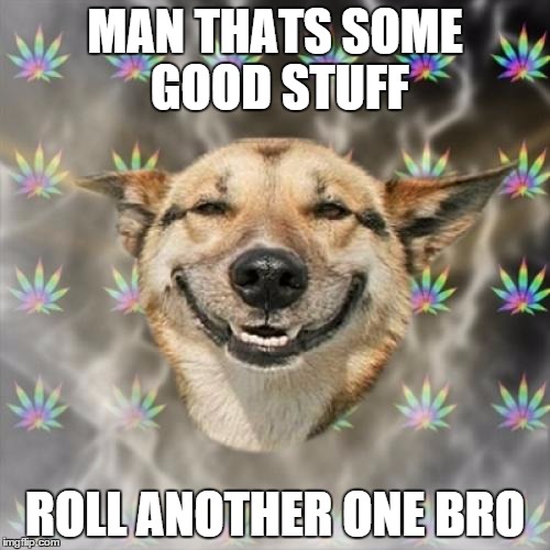 Stoner Dog | MAN THATS SOME GOOD STUFF ROLL ANOTHER ONE BRO | image tagged in memes,stoner dog | made w/ Imgflip meme maker