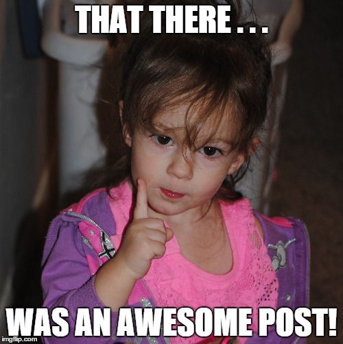 Awesome post | THAT THERE . . . WAS AN AWESOME POST! | image tagged in awesome post,zoey | made w/ Imgflip meme maker