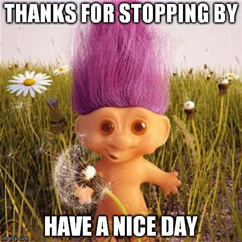 You say troll like it's a bad thing | THANKS FOR STOPPING BY HAVE A NICE DAY | image tagged in troll,trolling,troll link,the troll is you | made w/ Imgflip meme maker