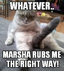 WHATEVER.. MARSHA RUBS ME THE RIGHT WAY! | made w/ Imgflip meme maker