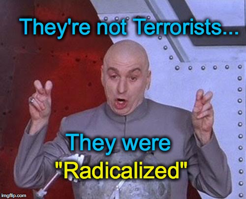 I'm sure that will make a big difference to the victims.... | They're not Terrorists... They were "Radicalized" | image tagged in memes,dr evil laser | made w/ Imgflip meme maker