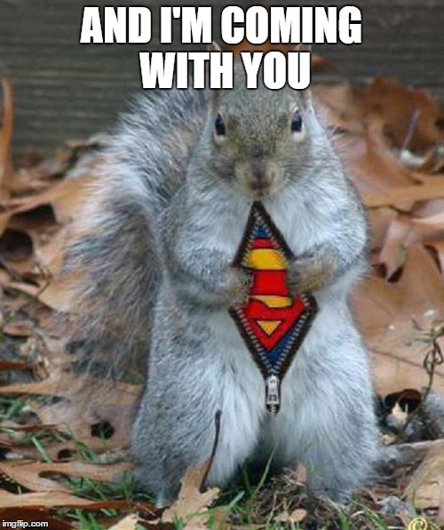 super squirrel | AND I'M COMING WITH YOU | image tagged in super squirrel | made w/ Imgflip meme maker