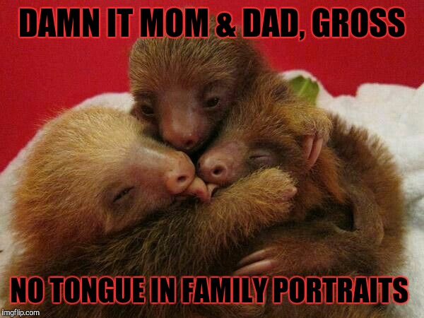 Holiday portrait | DAMN IT MOM & DAD, GROSS NO TONGUE IN FAMILY PORTRAITS | image tagged in memes,sloths | made w/ Imgflip meme maker