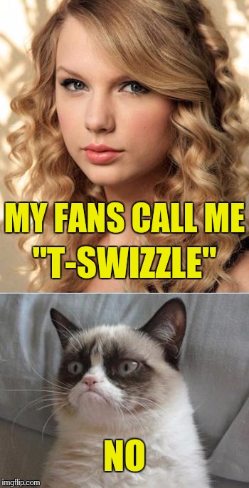 Hi. I'm Taylor. Nice to meet you... | "T-SWIZZLE" NO MY FANS CALL ME | image tagged in taylor swift,grumpy cat | made w/ Imgflip meme maker