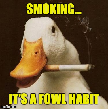 Smoking Duck | SMOKING... IT'S A FOWL HABIT | image tagged in smoking duck | made w/ Imgflip meme maker