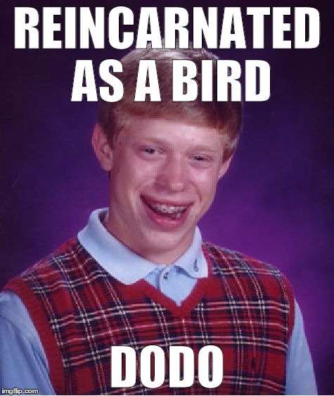 Bad Luck Brian | REINCARNATED AS A BIRD DODO | image tagged in memes,bad luck brian | made w/ Imgflip meme maker