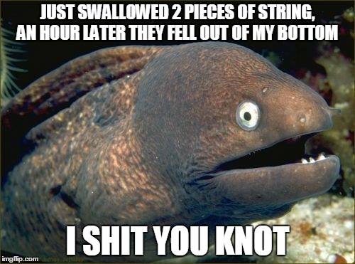 Bad Joke Eel Meme | JUST SWALLOWED 2 PIECES OF STRING, AN HOUR LATER THEY FELL OUT OF MY BOTTOM I SHIT YOU KNOT | image tagged in memes,bad joke eel | made w/ Imgflip meme maker