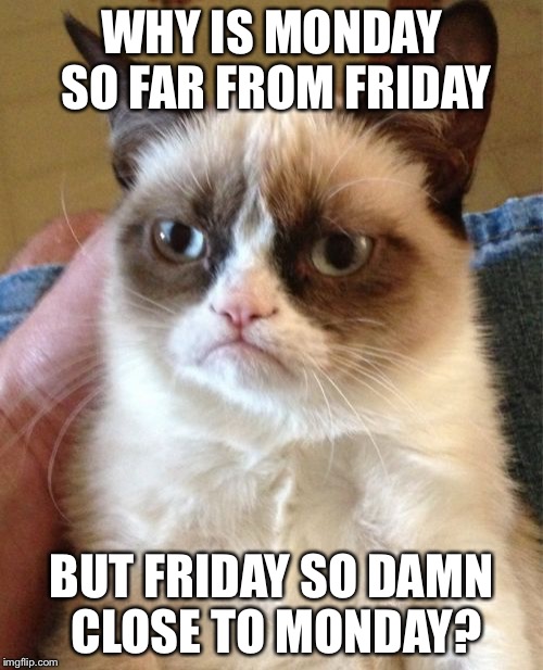 Grumpy Cat | WHY IS MONDAY SO FAR FROM FRIDAY BUT FRIDAY SO DAMN CLOSE TO MONDAY? | image tagged in memes,grumpy cat | made w/ Imgflip meme maker