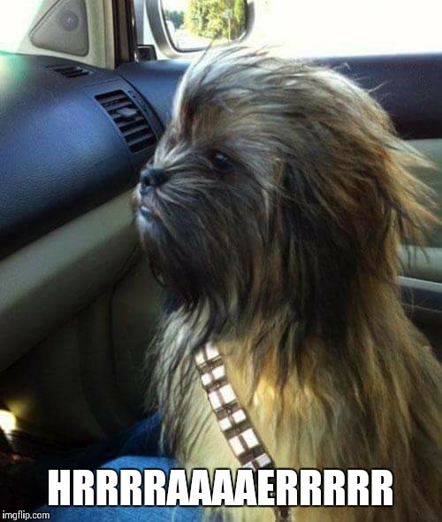 HRRRRAAAAERRRRR | image tagged in chewbacca puppy | made w/ Imgflip meme maker