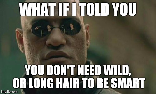 Matrix Morpheus Meme | WHAT IF I TOLD YOU YOU DON'T NEED WILD, OR LONG HAIR TO BE SMART | image tagged in memes,matrix morpheus | made w/ Imgflip meme maker