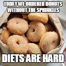 Diet | TODAY WE ORDERED DONUTS WITHOUT THE SPRINKLES DIETS ARE HARD | image tagged in cops and donuts | made w/ Imgflip meme maker