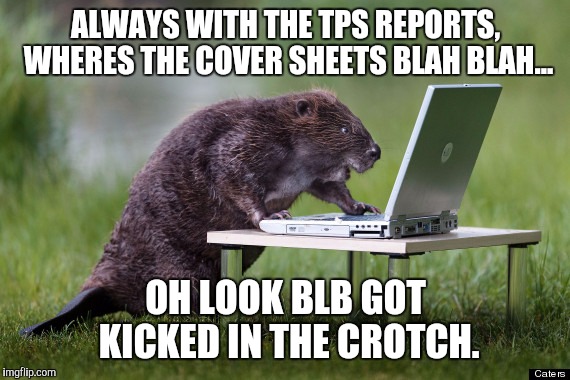 ALWAYS WITH THE TPS REPORTS, WHERES THE COVER SHEETS BLAH BLAH... OH LOOK BLB GOT KICKED IN THE CROTCH. | made w/ Imgflip meme maker