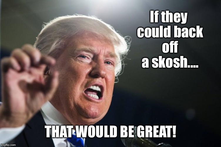 If they could back off a skosh.... THAT WOULD BE GREAT! | made w/ Imgflip meme maker