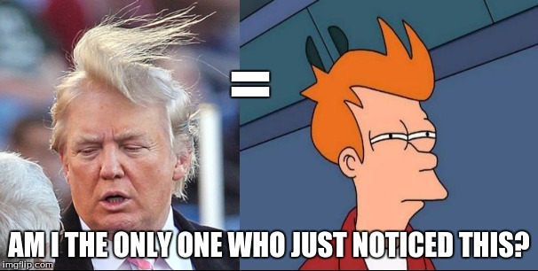 Just had a revelation this morning | = AM I THE ONLY ONE WHO JUST NOTICED THIS? | image tagged in donald trump,futurama fry,hair | made w/ Imgflip meme maker