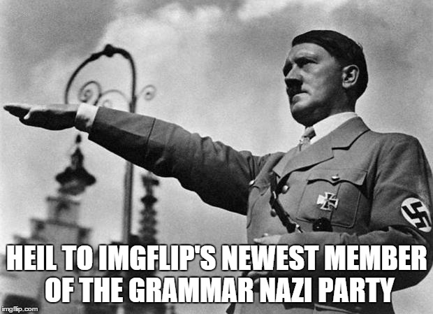 HEIL TO IMGFLIP'S NEWEST MEMBER OF THE GRAMMAR NAZI PARTY | made w/ Imgflip meme maker