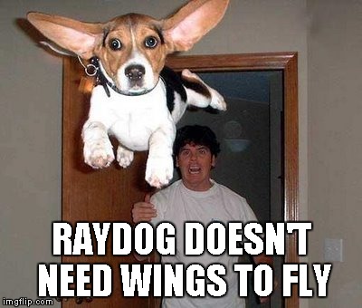 RAYDOG DOESN'T NEED WINGS TO FLY | made w/ Imgflip meme maker