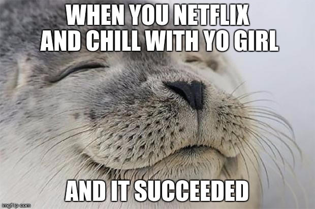Satisfied Seal | WHEN YOU NETFLIX AND CHILL WITH YO GIRL AND IT SUCCEEDED | image tagged in memes,satisfied seal | made w/ Imgflip meme maker