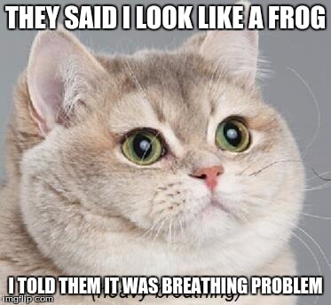 Heavy Breathing Cat | THEY SAID I LOOK LIKE A FROG I TOLD THEM IT WAS BREATHING PROBLEM | image tagged in memes,heavy breathing cat | made w/ Imgflip meme maker