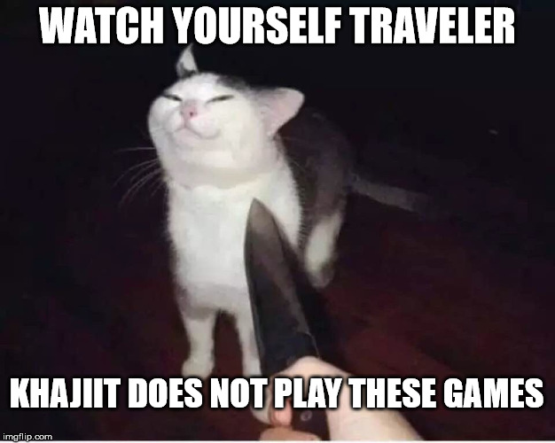 WATCH YOURSELF TRAVELER KHAJIIT DOES NOT PLAY THESE GAMES | image tagged in knife to cat | made w/ Imgflip meme maker