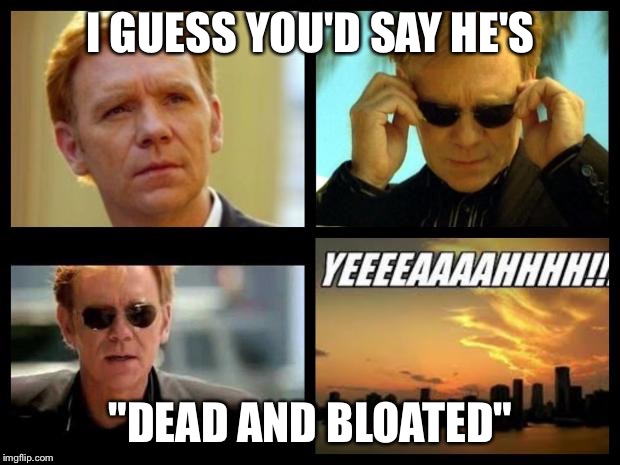CSI | I GUESS YOU'D SAY HE'S "DEAD AND BLOATED" | image tagged in csi | made w/ Imgflip meme maker