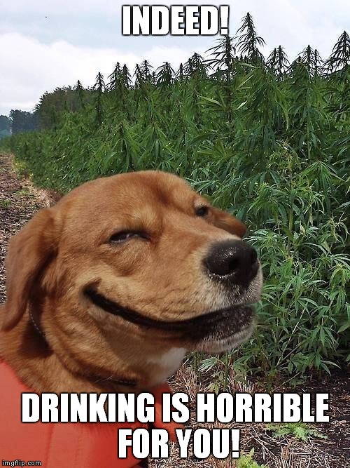INDEED! DRINKING IS HORRIBLE FOR YOU! | made w/ Imgflip meme maker