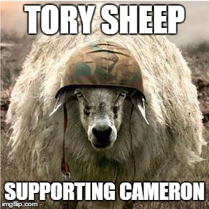 Sheep soilder | TORY SHEEP SUPPORTING CAMERON | image tagged in sheep soilder | made w/ Imgflip meme maker