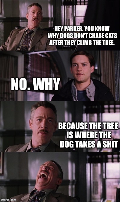 Spiderman Laugh Meme | HEY PARKER. YOU KNOW WHY DOGS DON'T CHASE CATS AFTER THEY CLIMB THE TREE. NO. WHY BECAUSE THE TREE IS WHERE THE DOG TAKES A SHIT | image tagged in memes,spiderman laugh | made w/ Imgflip meme maker