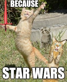 One cat is a little too excited for The Force Awakens | BECAUSE STAR WARS | image tagged in memes,star wars,the force awakens,cats | made w/ Imgflip meme maker