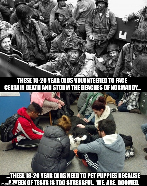 THESE 18-20 YEAR OLDS VOLUNTEERED TO FACE CERTAIN DEATH AND STORM THE BEACHES OF NORMANDY... ...THESE 18-20 YEAR OLDS NEED TO PET PUPPIES BE | image tagged in generation | made w/ Imgflip meme maker