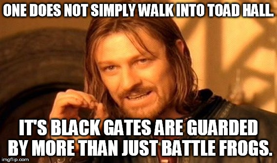 One Does Not Simply Meme | ONE DOES NOT SIMPLY WALK INTO TOAD HALL. IT'S BLACK GATES ARE GUARDED BY MORE THAN JUST BATTLE FROGS. | image tagged in memes,one does not simply | made w/ Imgflip meme maker
