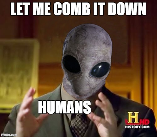 LET ME COMB IT DOWN HUMANS | made w/ Imgflip meme maker