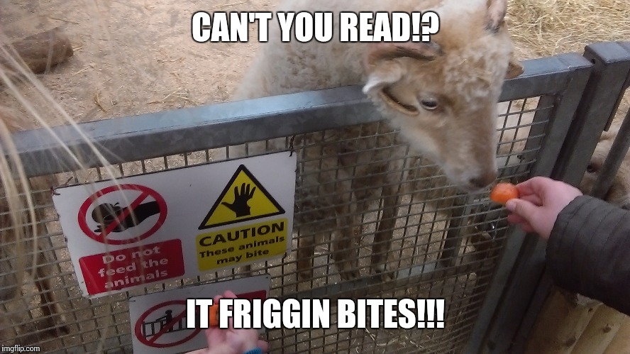 Read the signs! | CAN'T YOU READ!? IT FRIGGIN BITES!!! | image tagged in bite,animal,sign,pain,ram,stupid | made w/ Imgflip meme maker